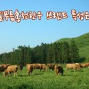 늘푸름농장 이미지