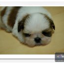 (유)은산 - 7391 | (유)은산