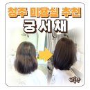 신흥고교 정류장 | 청주 미용실 추천 율량동 궁서채 임산부 염색 가능 후기