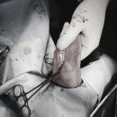 다나은 동물병원 이미지