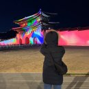 게임기어 | 르메르 게임백 스몰 후기 세타이어 직구 유의사항