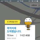 푸른밤캠핑