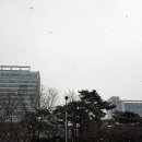 구월3동-12 이미지