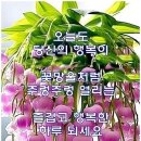 10월 12일 토요일 출석부 이미지