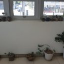 현대자동차 상남점 이미지