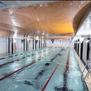 조이풀 스윔 이미지