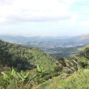 방주농장 이미지