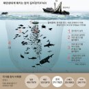 (주)한국그린피스 - 3548 | (주)한국그린피스