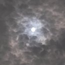 건강예쁜약국 이미지