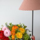 봄을담아 이미지