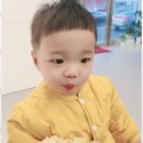 모종드헤어 네이버블로그