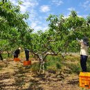 달산면사무소 이미지