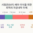 달내막창 | [시험관 1차 12편] 자궁내막, 왜 얇을까? 두껍게 하는 방법은?