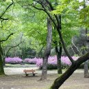 장릉종합관광안내소 이미지