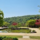 호암미술관 이미지