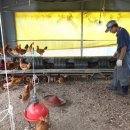 재동목장 이미지