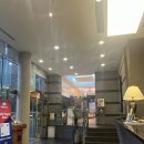 엘디스리젠트 이미지