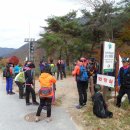 백성초등학교 이미지