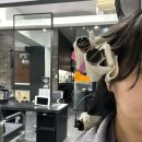 부천 심곡동ㅣ'보그헤어 부천역' 여자 중단발 굵은웨이브펌 성공후기