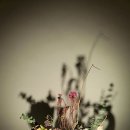 우리의 멋, 민화 이미지