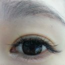 미미&코코 이미지