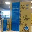 명지스타시티약국 이미지