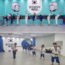 박사 K 태권도장 이미지