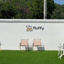 플러피 애견 풀빌라 이미지