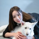 인성
