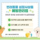 서울시 야생동물 구조관리센터 이미지