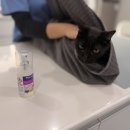 관문동물병원 이미지