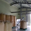 영심이네 이미지