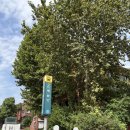 주식회사 라온통신 | 서울 대학로 놀거리 설렘 가득한 한뼘사이 통해 힐링을