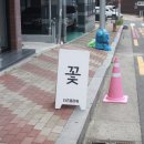 더즈플라워 이미지