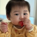 ㈜위고투렌트카 | 9 8개월아기랑 공주여행/시즈오카후지산여행/공주매향/양계장집아들 송도커넬워크점 후기(8개월3~4주차)