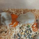 도봉-도봉-서울도봉-2286 이미지