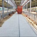 정돈농장 이미지