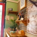 케이프유니스 이미지