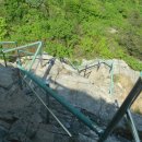 영남초교 이미지