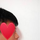 로즈텔 이미지