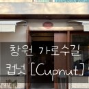 용지로239번길 | 창원 가로수길 카페[컵넛] Cupnut 용호동 도넛 전문 카페 방문 후기!!