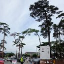 모정가든 | 강릉맛집/ 짬뽕순두부 내돈내먹 후기/ 카페동화 아이스크림 후식/ [동화가든]