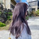 살롱207 이미지