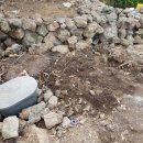 월림농장 이미지