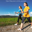 노르딕워킹 이미지