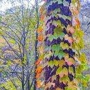 아는전집 티스토리