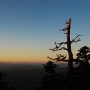 대청봉식당 이미지