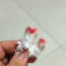 늘푸른 크리닝 | 10월 월간일기 / 마침내 도착한 가을은 가장 뜨거운 계절이었다.