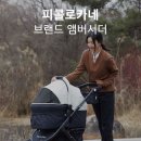 피콜로카네 이미지