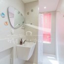 스테이정의 | 제주 애견동반 숙소 스테이멀리 청결 실제 후기